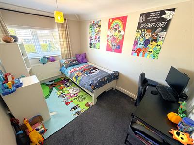 Picture 25